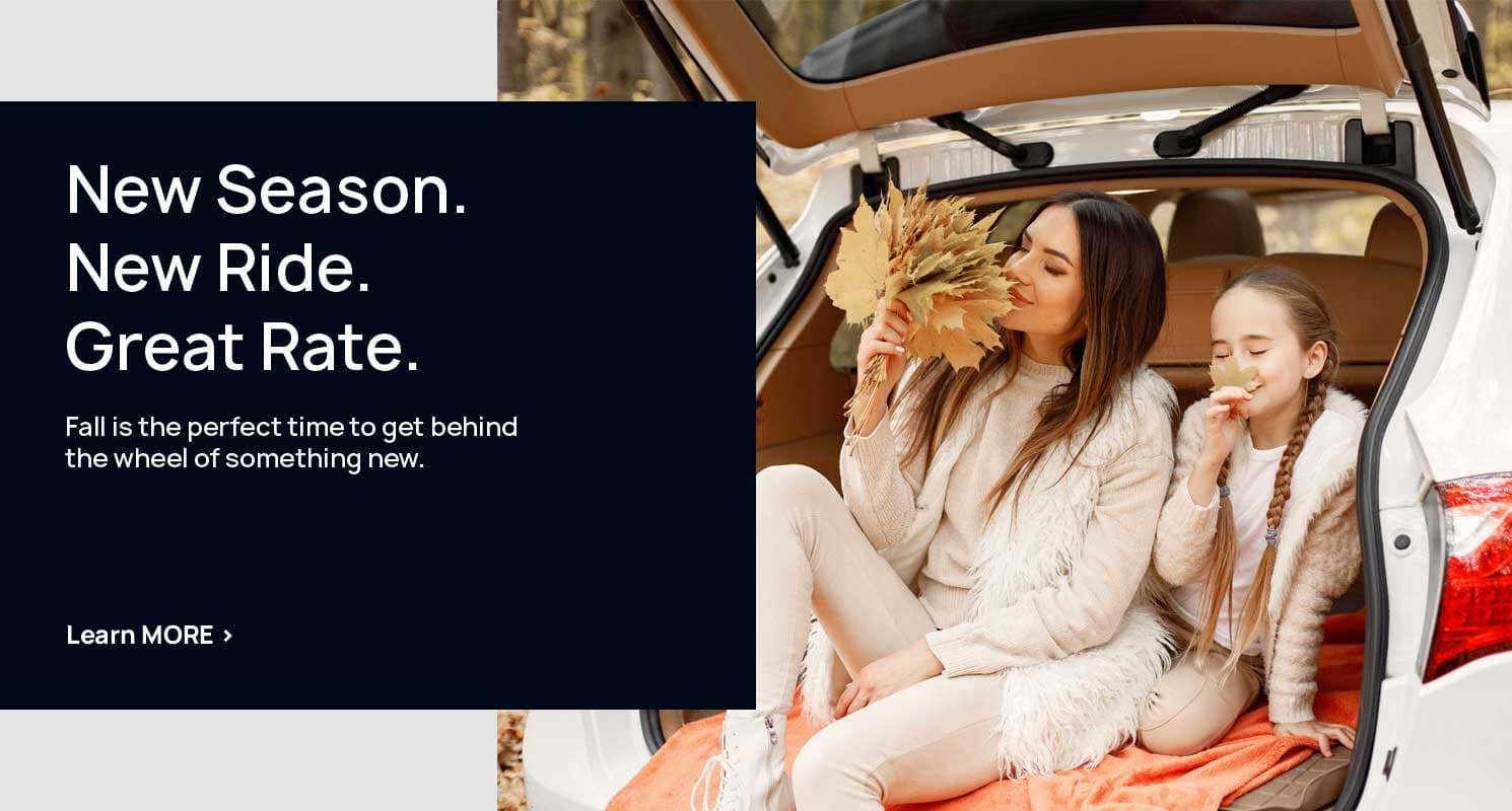 Auto Loan